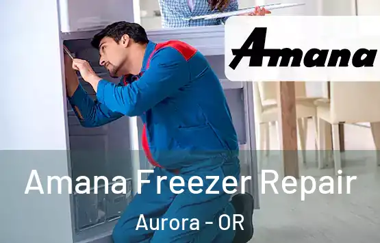  Amana Freezer Repair Aurora - OR