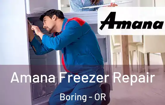  Amana Freezer Repair Boring - OR