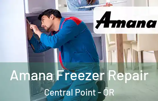  Amana Freezer Repair Central Point - OR