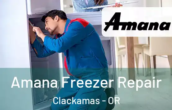  Amana Freezer Repair Clackamas - OR