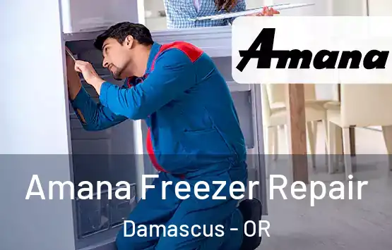  Amana Freezer Repair Damascus - OR