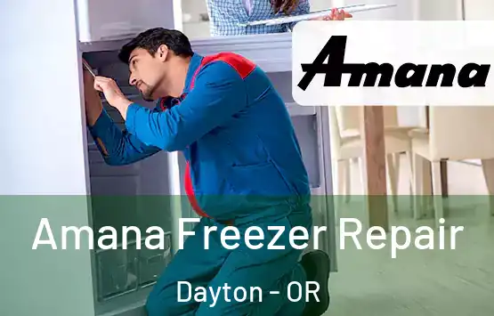  Amana Freezer Repair Dayton - OR