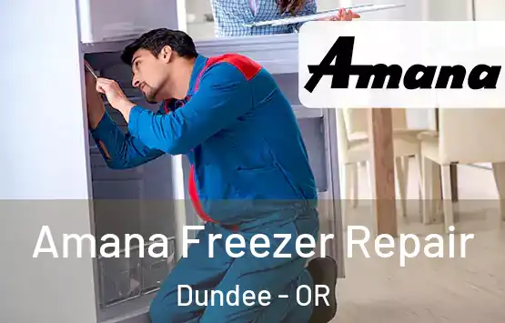  Amana Freezer Repair Dundee - OR