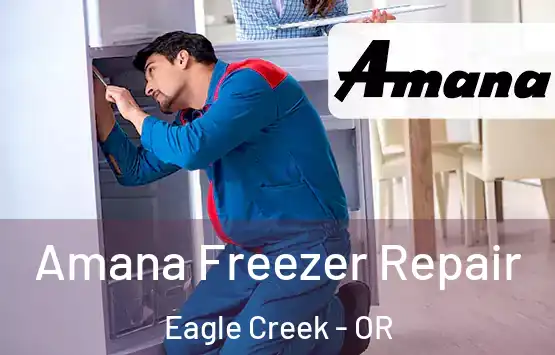  Amana Freezer Repair Eagle Creek - OR