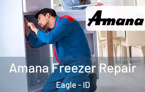  Amana Freezer Repair Eagle - ID