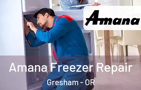  Amana Freezer Repair Gresham - OR