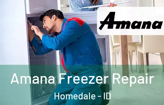  Amana Freezer Repair Homedale - ID