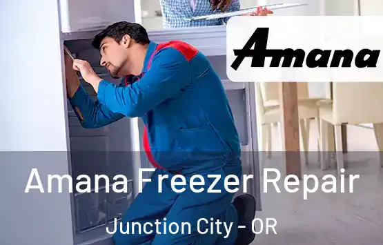  Amana Freezer Repair Junction City - OR