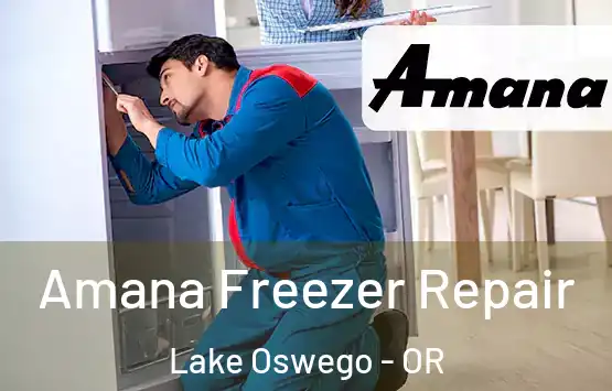  Amana Freezer Repair Lake Oswego - OR