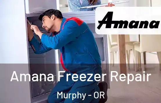  Amana Freezer Repair Murphy - OR