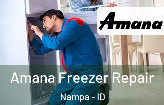  Amana Freezer Repair Nampa - ID