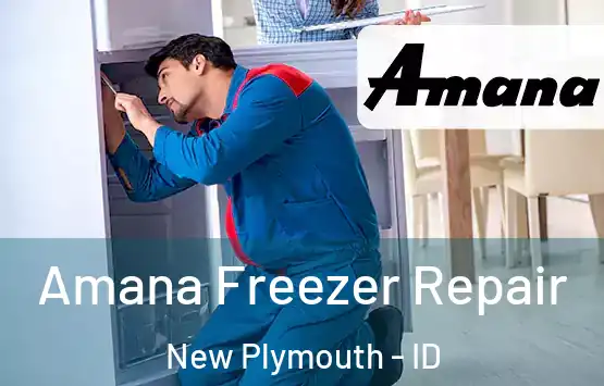 Amana Freezer Repair New Plymouth - ID