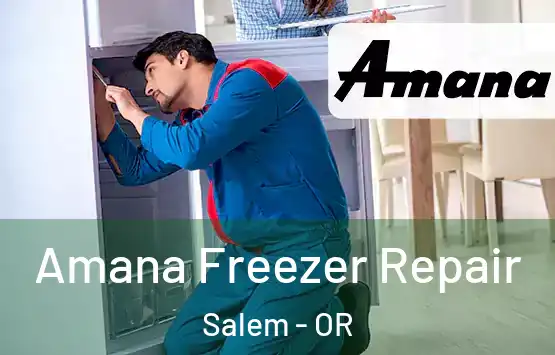  Amana Freezer Repair Salem - OR