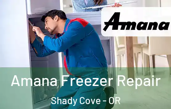  Amana Freezer Repair Shady Cove - OR