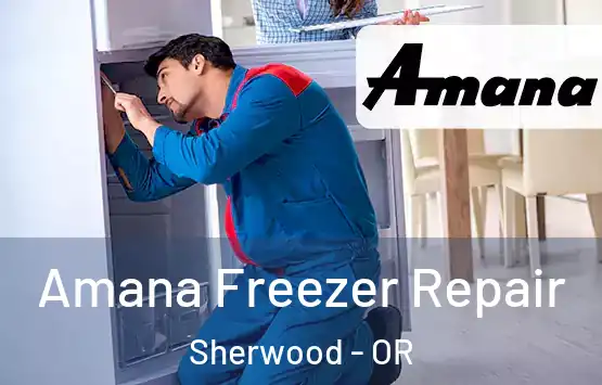  Amana Freezer Repair Sherwood - OR