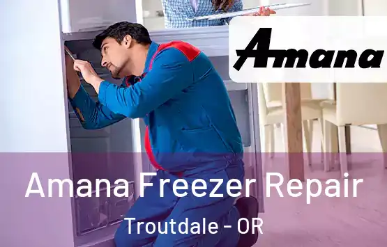  Amana Freezer Repair Troutdale - OR