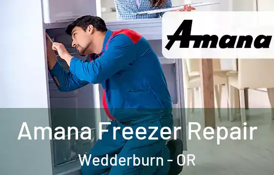  Amana Freezer Repair Wedderburn - OR