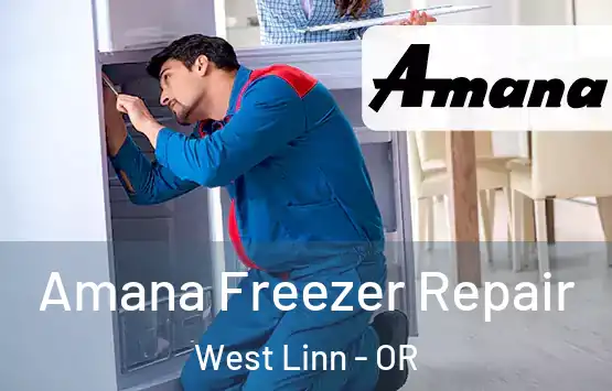  Amana Freezer Repair West Linn - OR