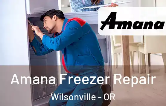  Amana Freezer Repair Wilsonville - OR