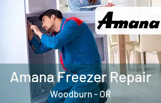  Amana Freezer Repair Woodburn - OR