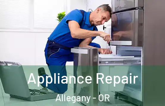  Appliance Repair Allegany - OR