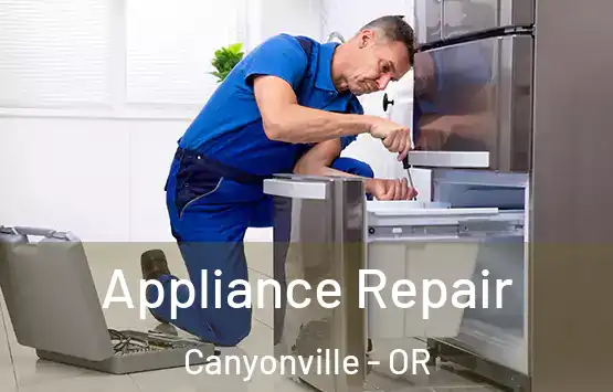  Appliance Repair Canyonville - OR