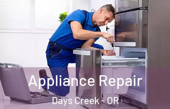 Appliance Repair Days Creek - OR