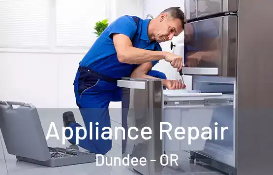 Appliance Repair Dundee - OR