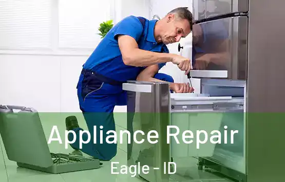  Appliance Repair Eagle - ID