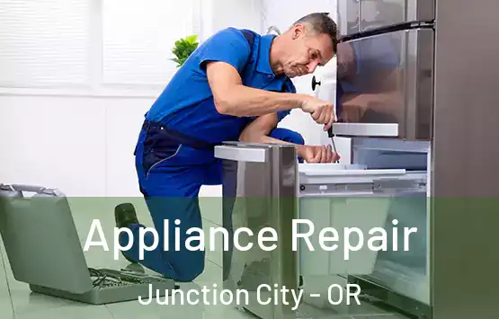  Appliance Repair Junction City - OR