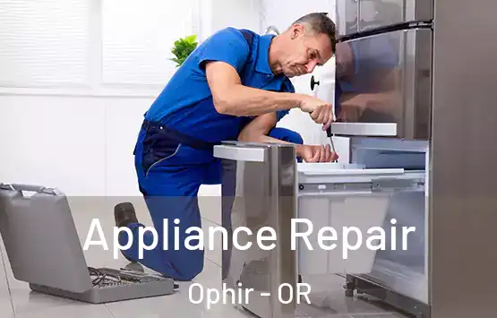  Appliance Repair Ophir - OR