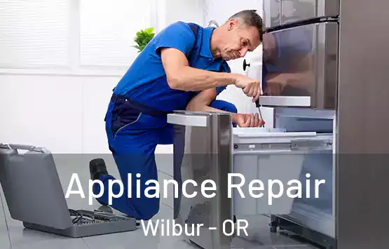  Appliance Repair Wilbur - OR