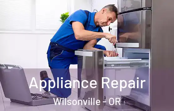  Appliance Repair Wilsonville - OR