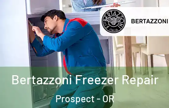  Bertazzoni Freezer Repair Prospect - OR