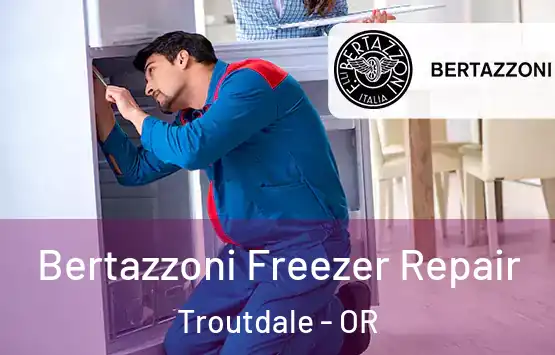  Bertazzoni Freezer Repair Troutdale - OR