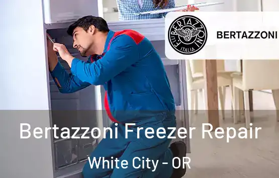  Bertazzoni Freezer Repair White City - OR