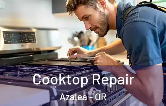  Cooktop Repair Azalea - OR