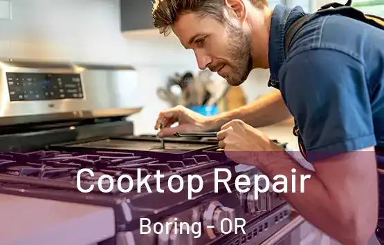  Cooktop Repair Boring - OR