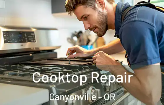  Cooktop Repair Canyonville - OR