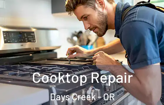 Cooktop Repair Days Creek - OR