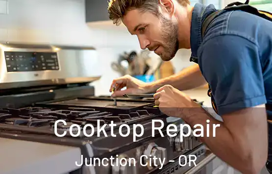  Cooktop Repair Junction City - OR
