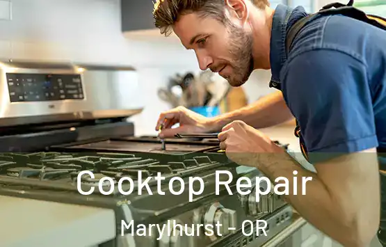  Cooktop Repair Marylhurst - OR