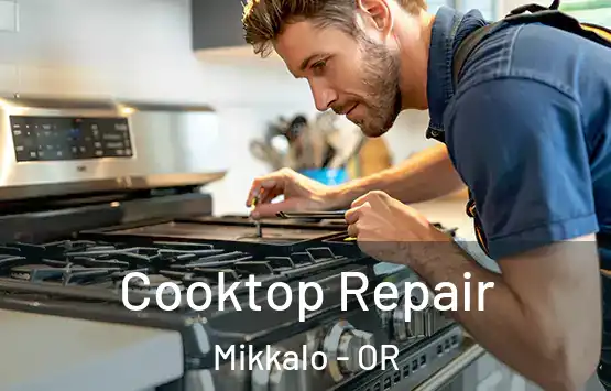  Cooktop Repair Mikkalo - OR