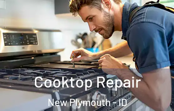  Cooktop Repair New Plymouth - ID