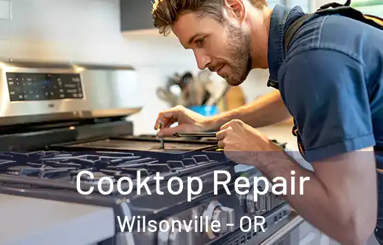  Cooktop Repair Wilsonville - OR
