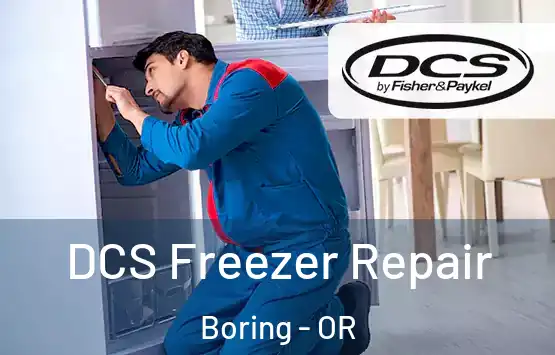  DCS Freezer Repair Boring - OR