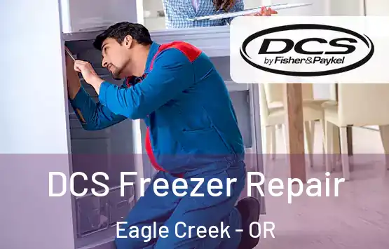  DCS Freezer Repair Eagle Creek - OR