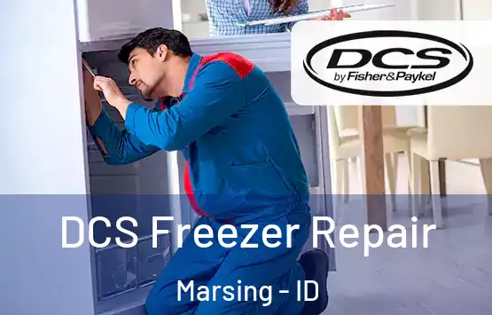  DCS Freezer Repair Marsing - ID