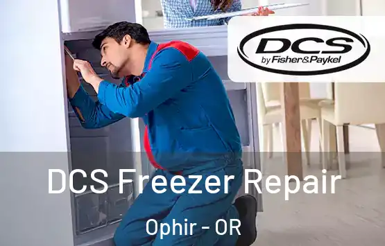  DCS Freezer Repair Ophir - OR