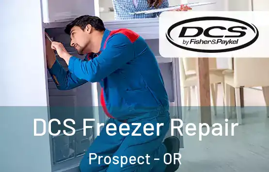 DCS Freezer Repair Prospect - OR